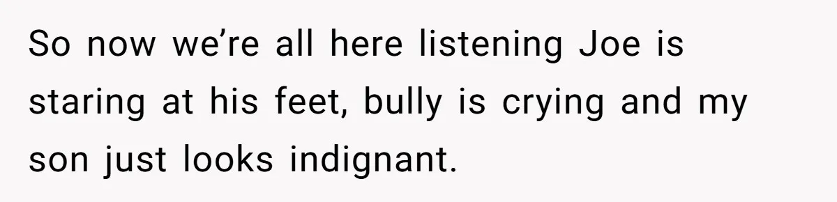 So now we’re all here listening Joe is staring at his feet, bully is crying and my son just looks indignant.