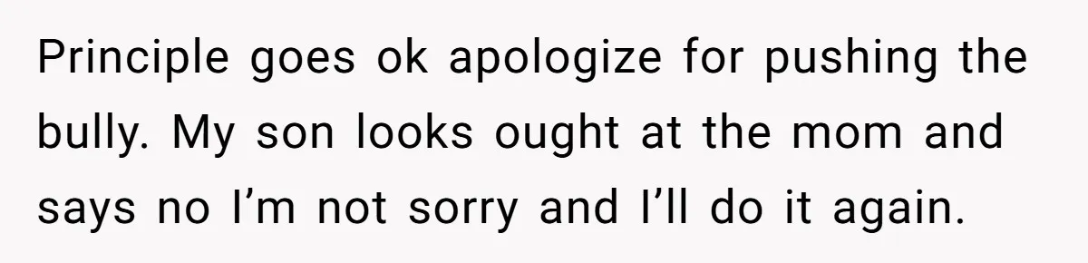 Principle goes ok apologize for pushing the bully. My son looks ought at the mom and says no I’m not sorry and I’ll do it again.