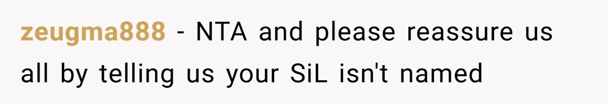 zeugma888 − NTA and please reassure us all by telling us your SiL isn't named