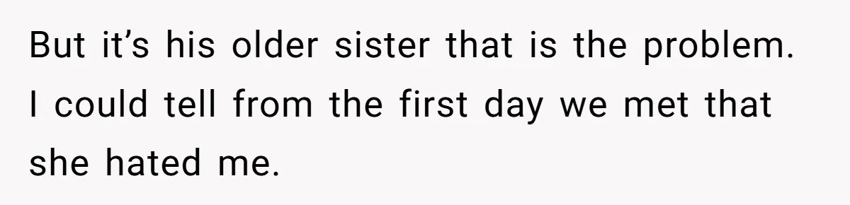 But it’s his older sister that is the problem. I could tell from the first day we met that she hated me.