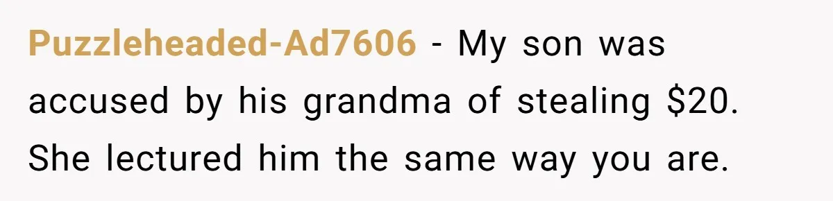 Puzzleheaded-Ad7606 − My son was accused by his grandma of stealing $20. She lectured him the same way you are.