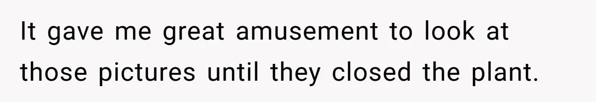 It gave me great amusement to look at those pictures until they closed the plant.