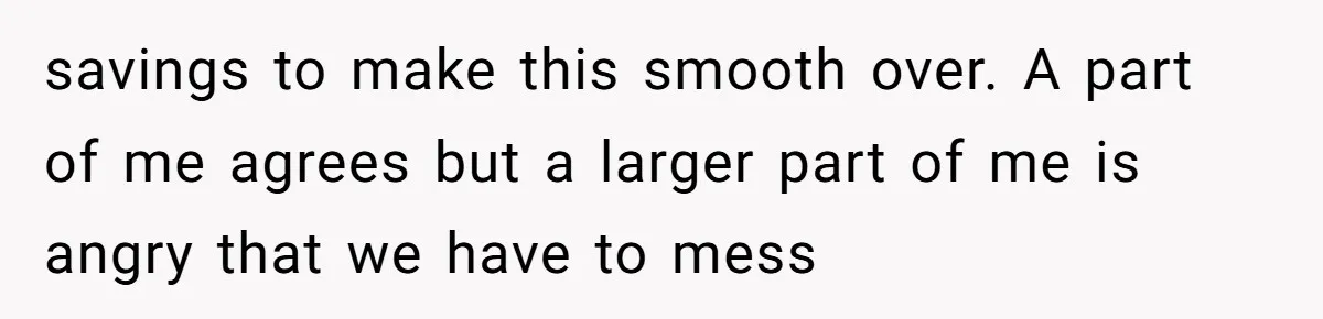 savings to make this smooth over. A part of me agrees but a larger part of me is angry that we have to mess