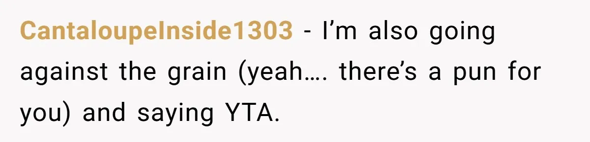 CantaloupeInside1303 − I’m also going against the grain (yeah…. there’s a pun for you) and saying YTA.