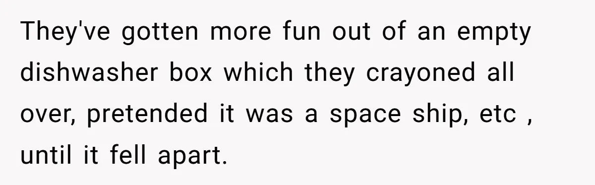They've gotten more fun out of an empty dishwasher box which they crayoned all over, pretended it was a space ship, etc , until it fell apart.