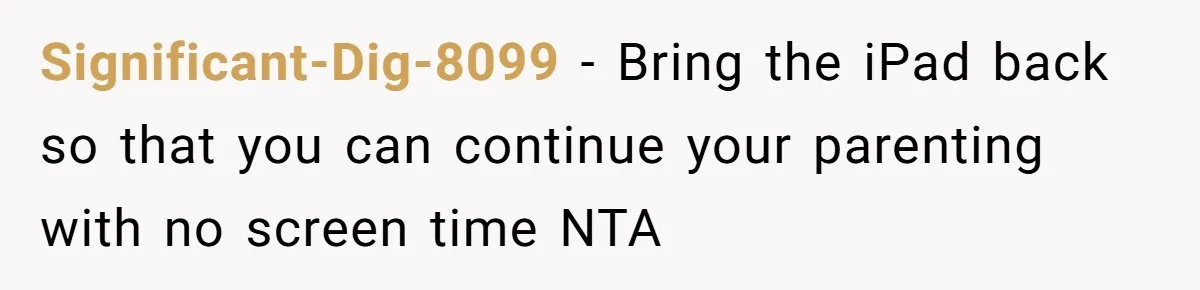 Significant-Dig-8099 − Bring the iPad back so that you can continue your parenting with no screen time NTA