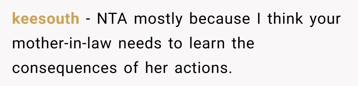 keesouth − NTA mostly because I think your mother-in-law needs to learn the consequences of her actions.