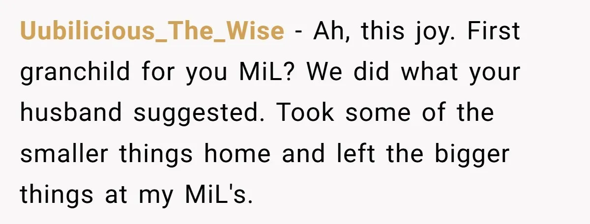 Uubilicious_The_Wise − Ah, this joy. First granchild for you MiL? We did what your husband suggested. Took some of the smaller things home and left the bigger things at my...