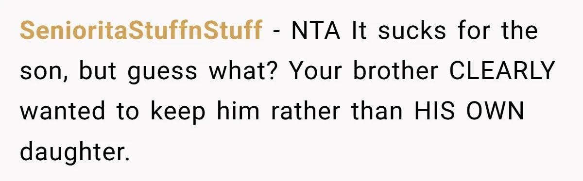 SenioritaStuffnStuff − NTA It sucks for the son, but guess what? Your brother CLEARLY wanted to keep him rather than HIS OWN daughter.