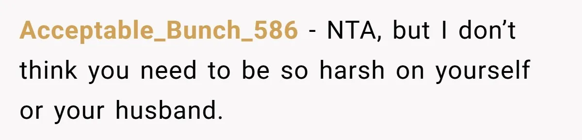 Acceptable_Bunch_586 − NTA, but I don’t think you need to be so harsh on yourself or your husband.