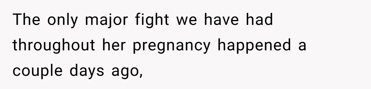 The only major fight we have had throughout her pregnancy happened a couple days ago,