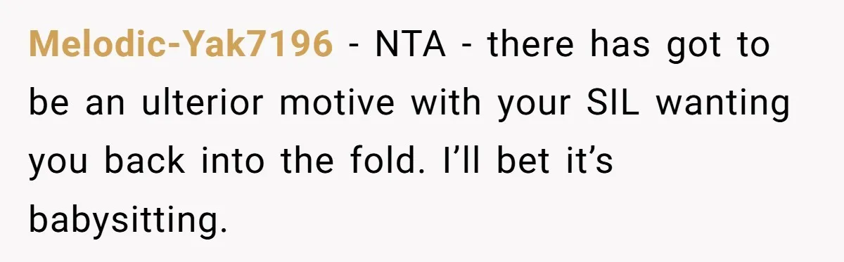 Melodic-Yak7196 − NTA - there has got to be an ulterior motive with your SIL wanting you back into the fold. I’ll bet it’s babysitting.