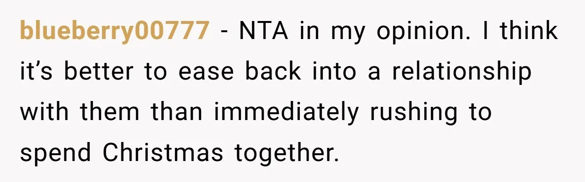blueberry00777 − NTA in my opinion. I think it’s better to ease back into a relationship with them than immediately rushing to spend Christmas together.