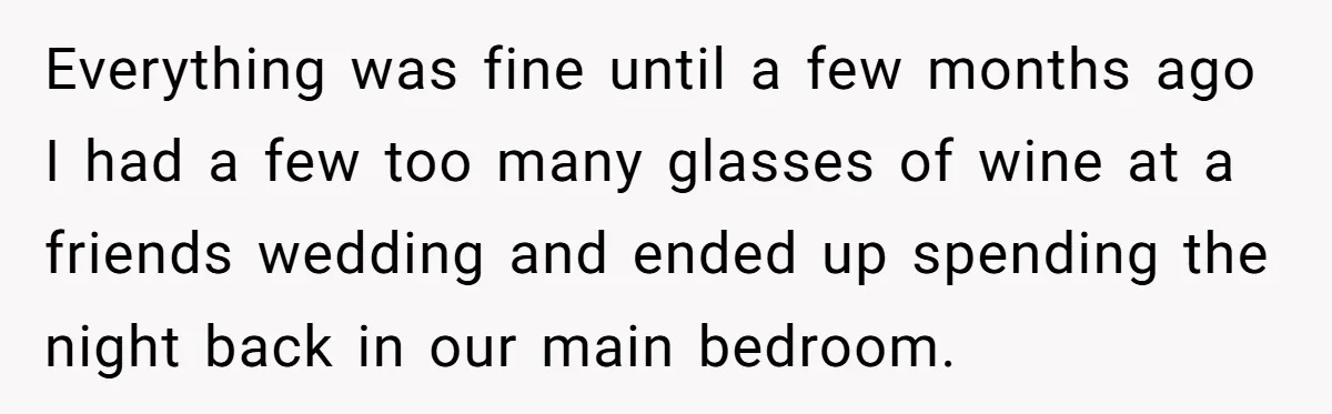 Everything was fine until a few months ago I had a few too many glasses of wine at a friends wedding and ended up spending the night back in our...