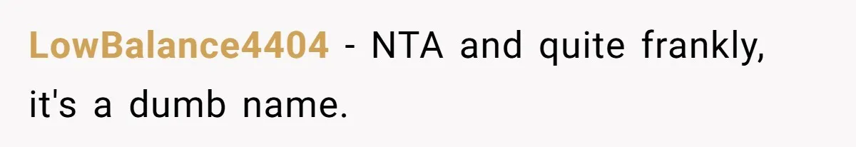 LowBalance4404 − NTA and quite frankly, it's a dumb name.