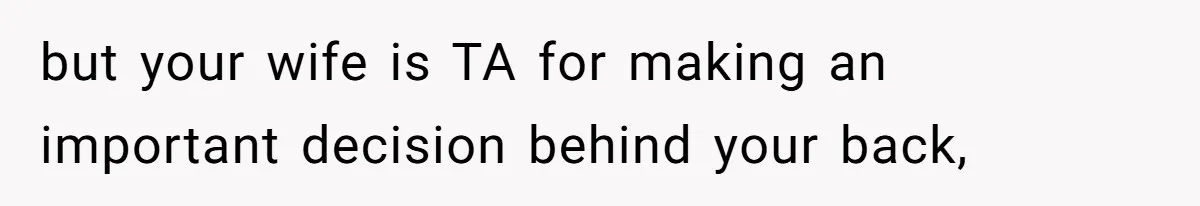 but your wife is TA for making an important decision behind your back,