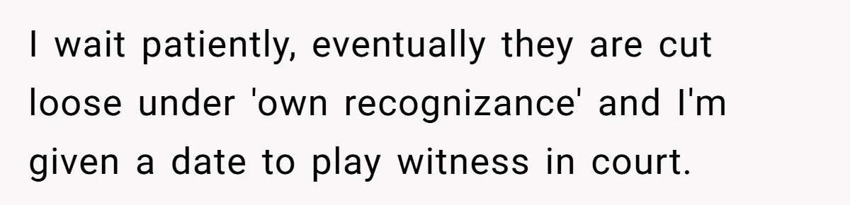 I wait patiently, eventually they are cut loose under 'own recognizance' and I'm given a date to play witness in court.