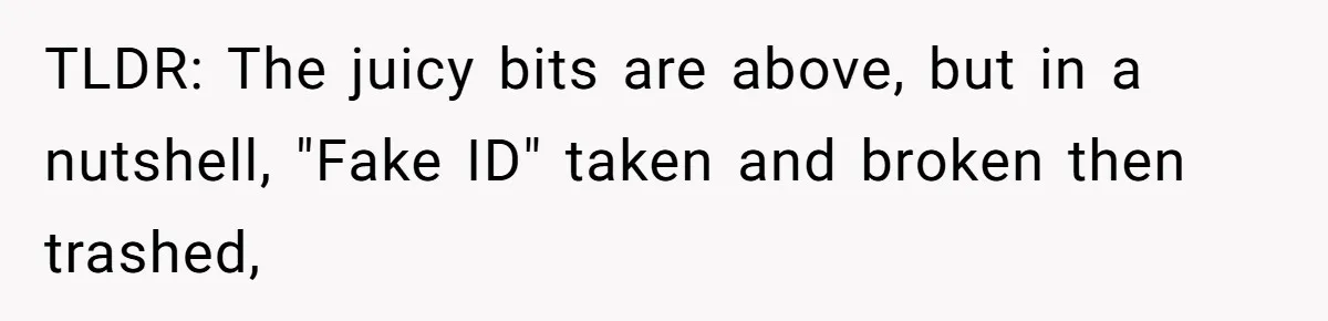 TLDR: The juicy bits are above, but in a nutshell, "Fake ID" taken and broken then trashed,