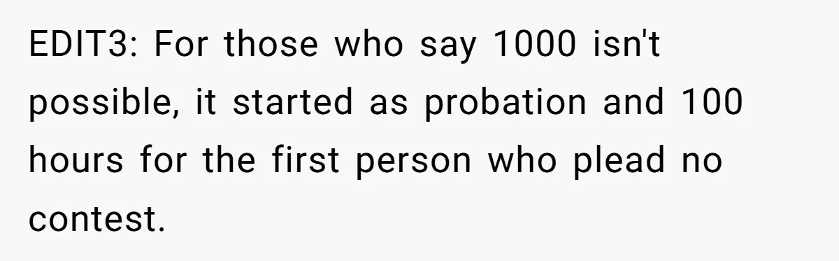 EDIT3: For those who say 1000 isn't possible, it started as probation and 100 hours for the first person who plead no contest.