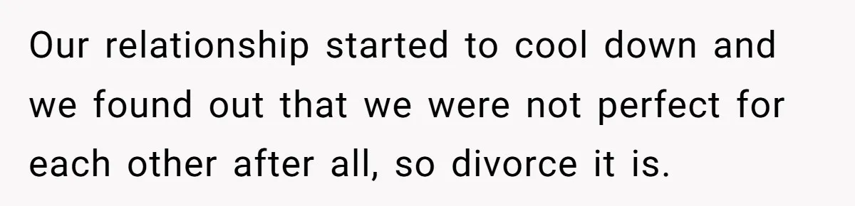Our relationship started to cool down and we found out that we were not perfect for each other after all, so divorce it is.