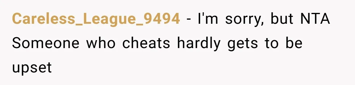 Careless_League_9494 − I'm sorry, but NTA Someone who cheats hardly gets to be upset