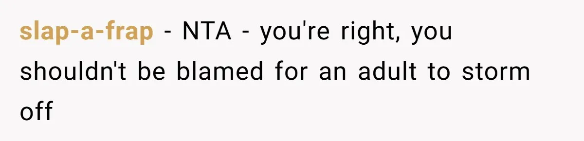 slap-a-frap − NTA - you're right, you shouldn't be blamed for an adult to storm off