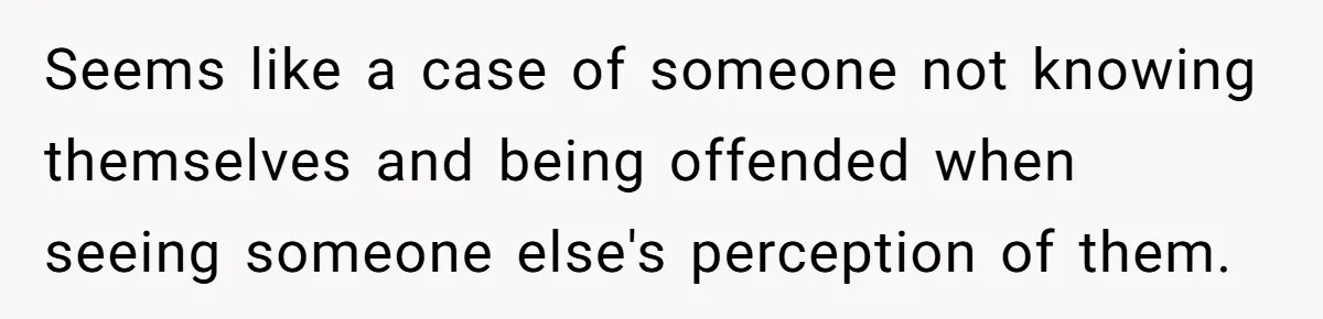 Seems like a case of someone not knowing themselves and being offended when seeing someone else's perception of them.