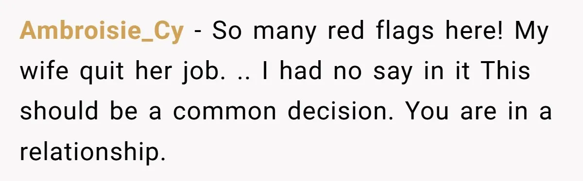 Ambroisie_Cy − So many red flags here! My wife quit her job. .. I had no say in it This should be a common decision. You are in a relationship.