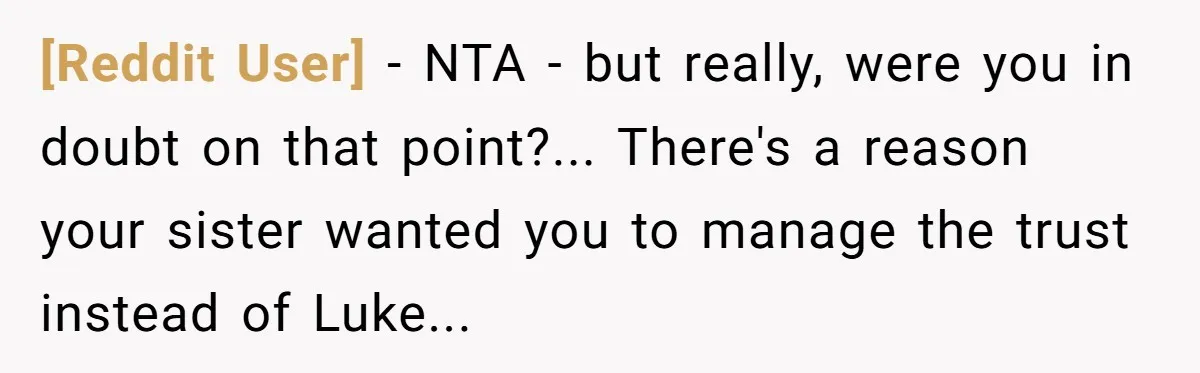 [Reddit User] − NTA - but really, were you in doubt on that point?... There's a reason your sister wanted you to manage the trust instead of Luke...