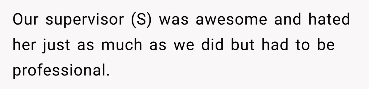 Our supervisor (S) was awesome and hated her just as much as we did but had to be professional.