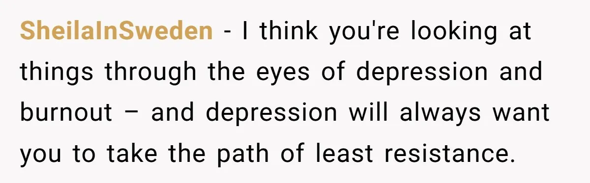 SheilaInSweden − I think you're looking at things through the eyes of depression and burnout – and depression will always want you to take the path of least resistance.