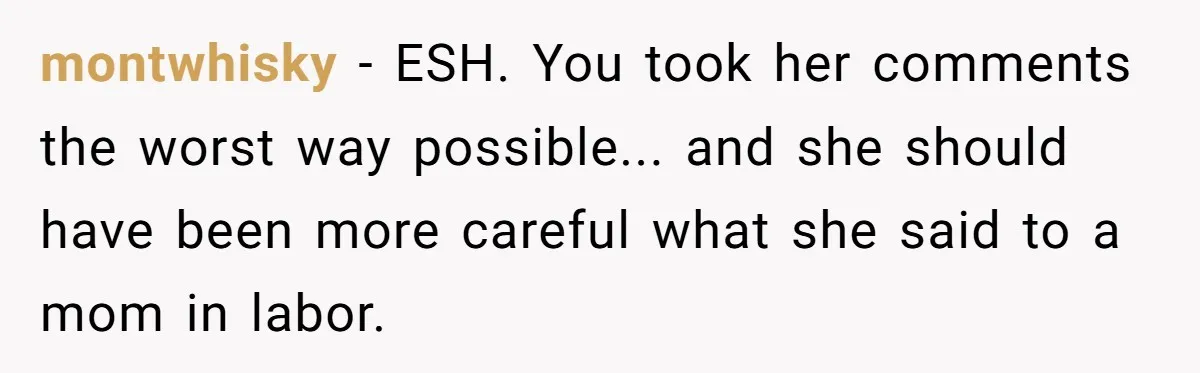 montwhisky − ESH. You took her comments the worst way possible... and she should have been more careful what she said to a mom in labor.