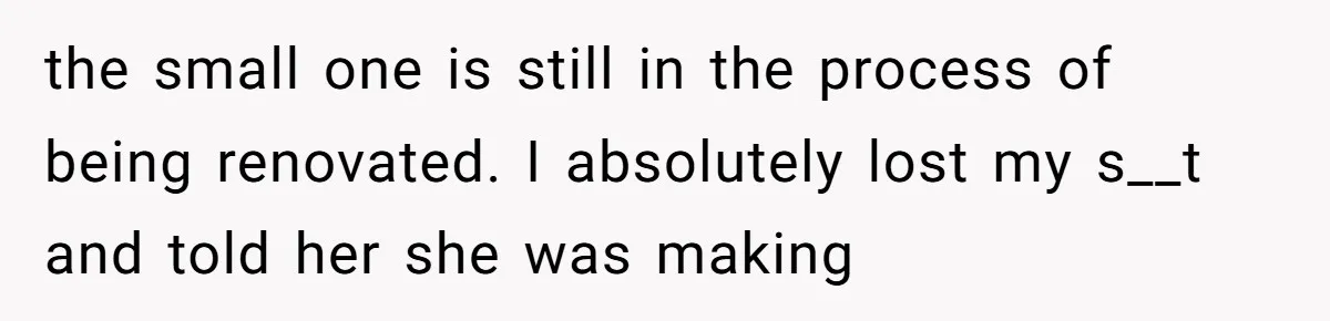 the small one is still in the process of being renovated. I absolutely lost my s__t and told her she was making