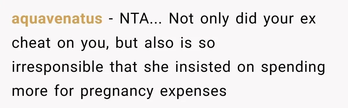 aquavenatus − NTA... Not only did your ex cheat on you, but also is so irresponsible that she insisted on spending more for pregnancy expenses