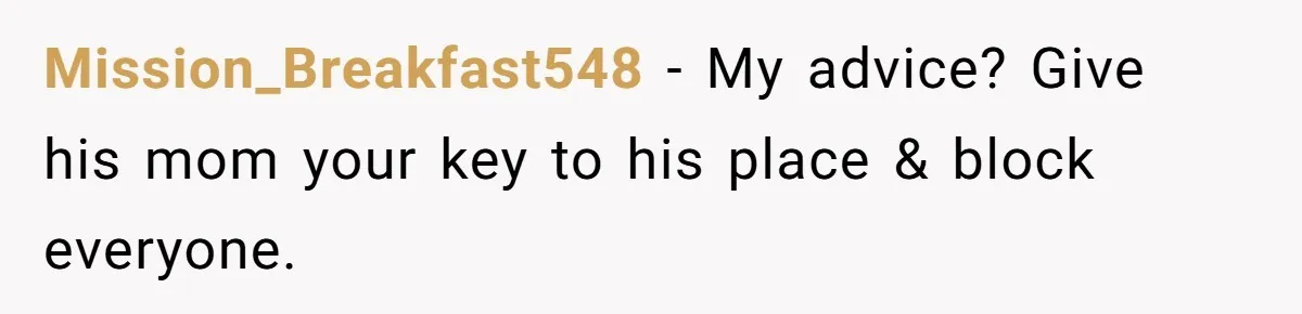 Mission_Breakfast548 − My advice? Give his mom your key to his place & block everyone.