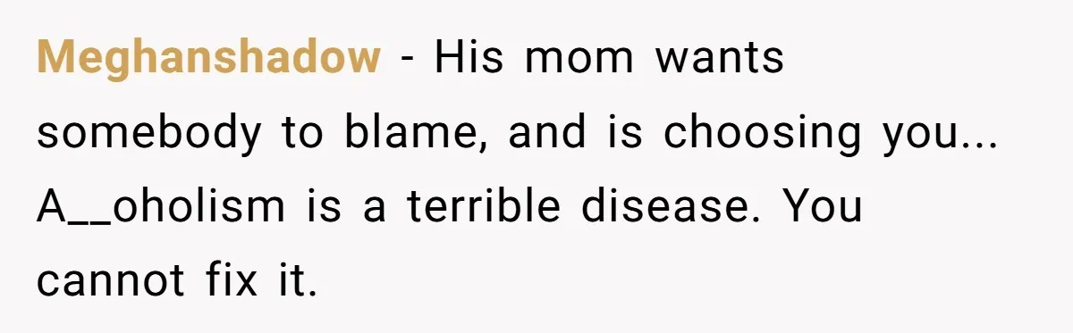 Meghanshadow − His mom wants somebody to blame, and is choosing you... A__oholism is a terrible disease. You cannot fix it.