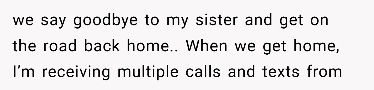 When a Mother-in-Law Criticizes a Wedding Dress and Gets a Real Response we say goodbye to my sister and get on the road back home.. When we get home, I’m receiving multiple calls and texts from