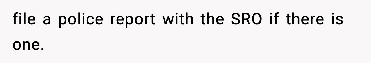 file a police report with the SRO if there is one.