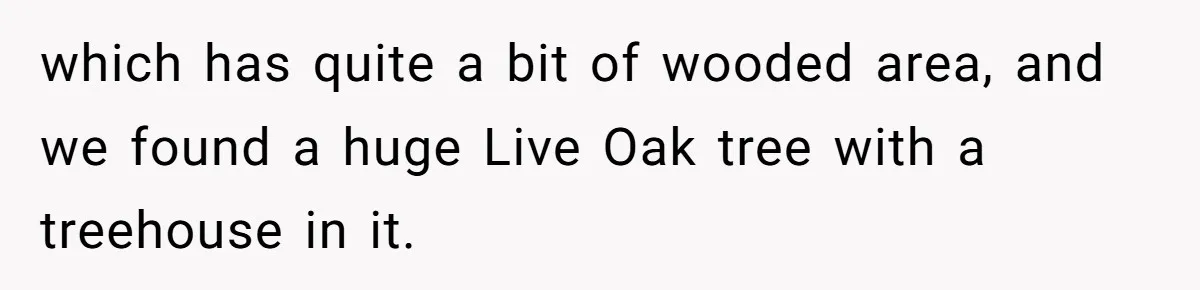 which has quite a bit of wooded area, and we found a huge Live Oak tree with a treehouse in it.