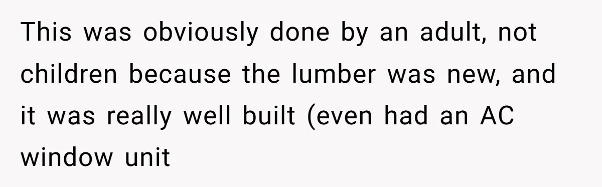 This was obviously done by an adult, not children because the lumber was new, and it was really well built (even had an AC window unit