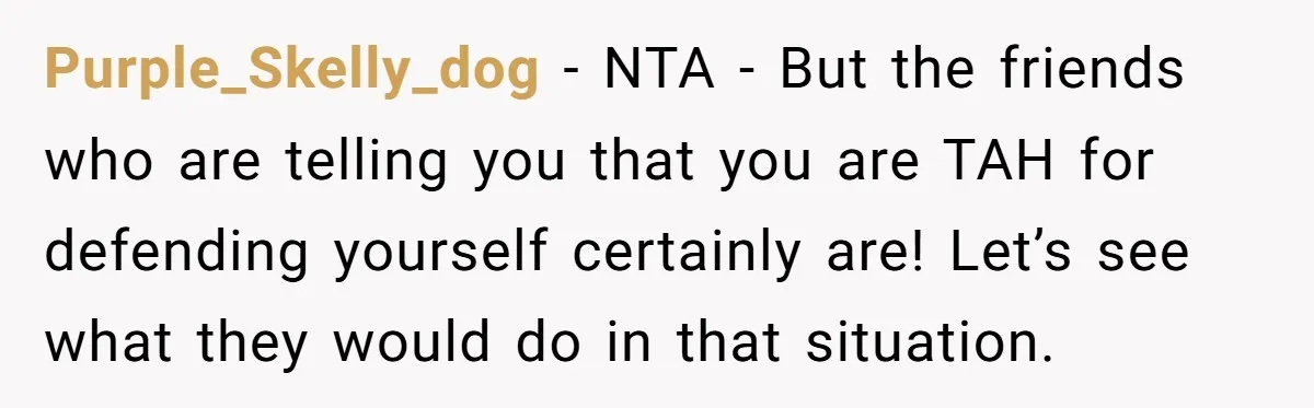 Purple_Skelly_dog − NTA - But the friends who are telling you that you are TAH for defending yourself certainly are! Let’s see what they would do in that situation.