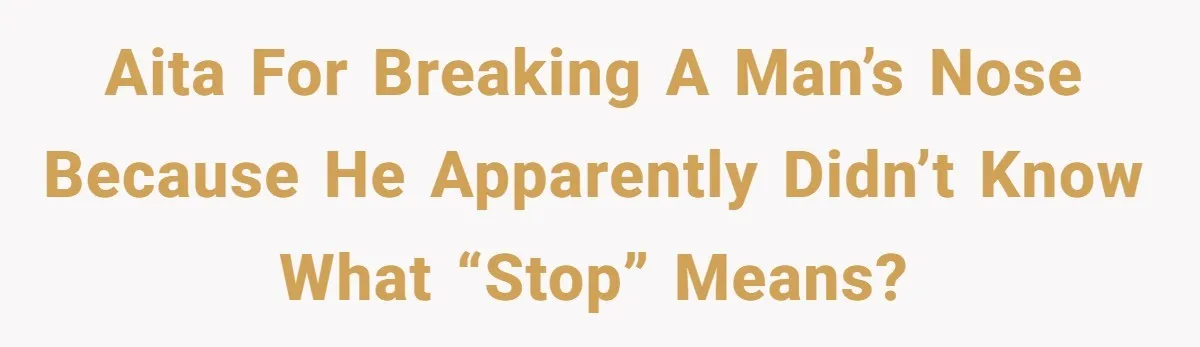 AITA for breaking a man’s nose because he apparently didn’t know what “Stop” means?