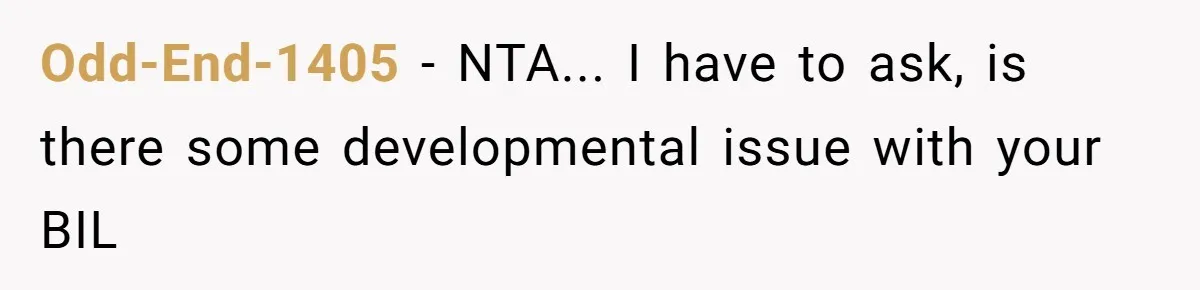 Odd-End-1405 − NTA... I have to ask, is there some developmental issue with your BIL