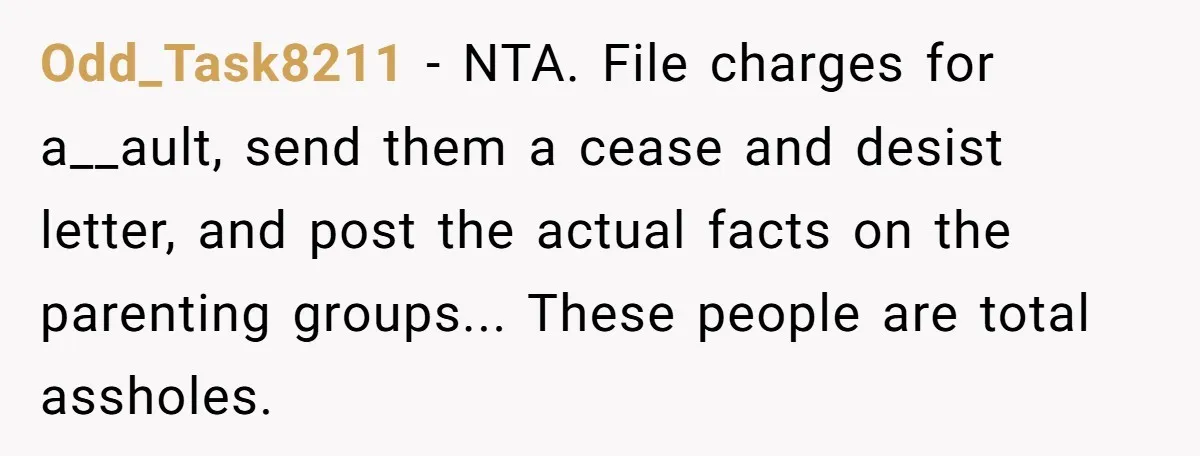 Odd_Task8211 − NTA. File charges for a__ault, send them a cease and desist letter, and post the actual facts on the parenting groups... These people are total assholes.