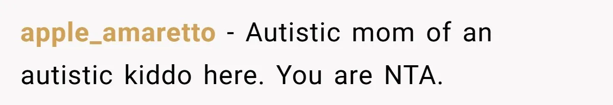 apple_amaretto − Autistic mom of an autistic kiddo here. You are NTA.