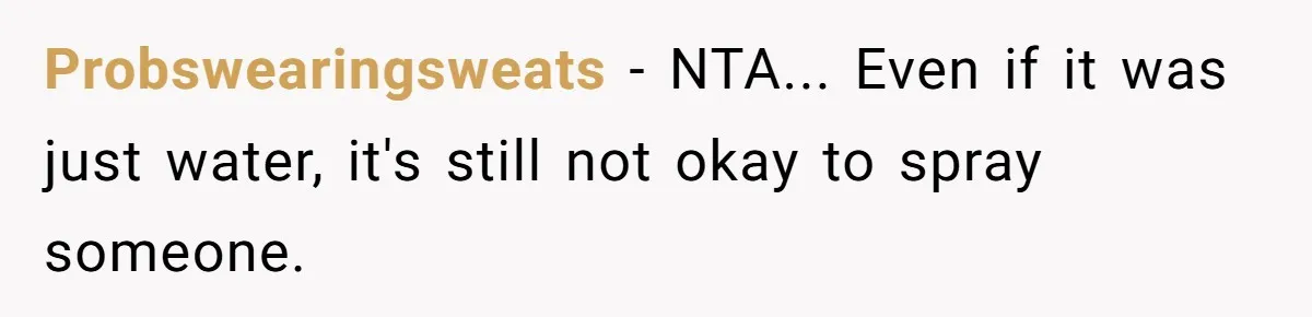 Probswearingsweats − NTA... Even if it was just water, it's still not okay to spray someone.