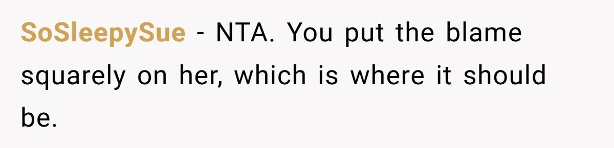 SoSleepySue − NTA. You put the blame squarely on her, which is where it should be.