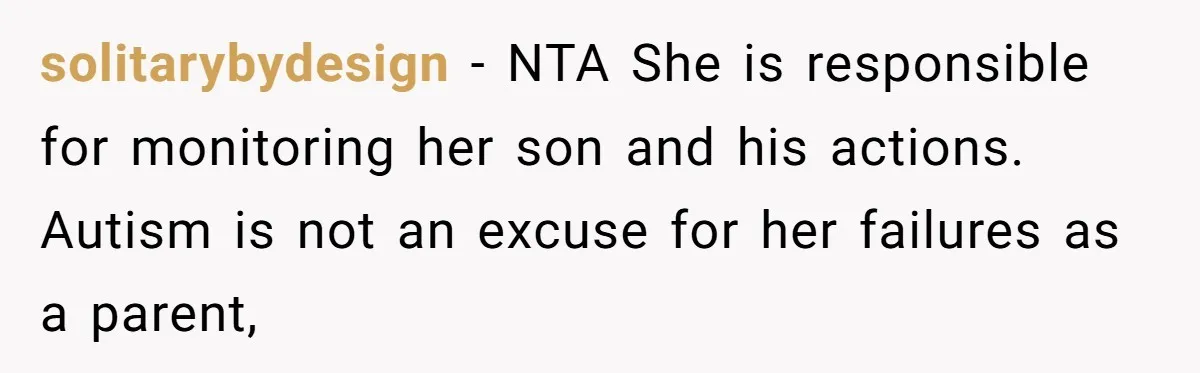 solitarybydesign − NTA She is responsible for monitoring her son and his actions. Autism is not an excuse for her failures as a parent,