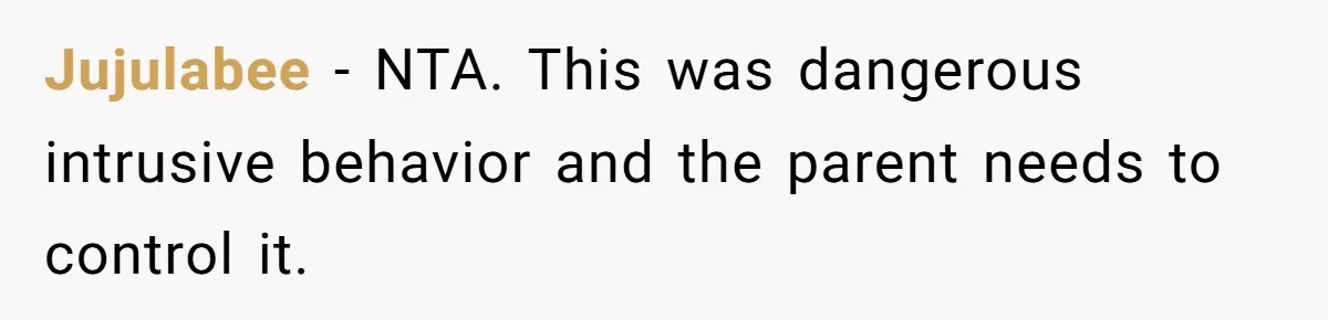 Jujulabee − NTA. This was dangerous intrusive behavior and the parent needs to control it.