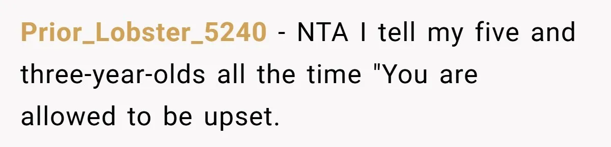 Prior_Lobster_5240 − NTA I tell my five and three-year-olds all the time "You are allowed to be upset.
